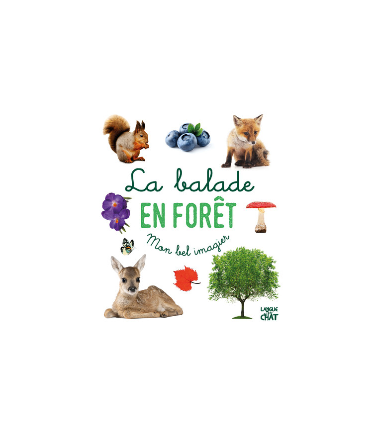 La balade en forêt - Mon bel imagier -  Collectif - LANGUE AU CHAT