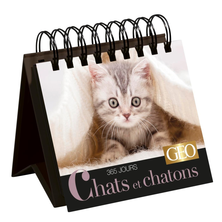 365 jours Chats et chatons  - Calendrier Géo -  Playbac Éditions - PLAY BAC