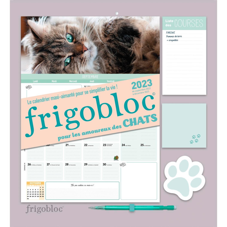 Frigobloc Mensuel 2023 Chats (de sept. 2022 à déc. 2023) -  Playbac Éditions - PLAY BAC