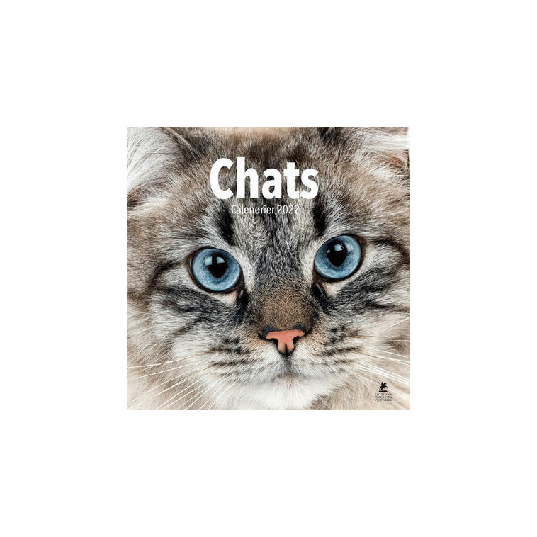 Chats - Calendrier 2022 -  Collectif - PLACE VICTOIRES