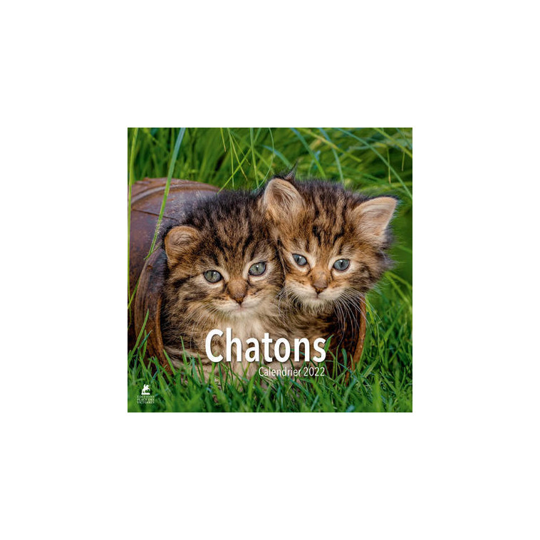 Chatons - Calendrier 2022 -  Collectif - PLACE VICTOIRES