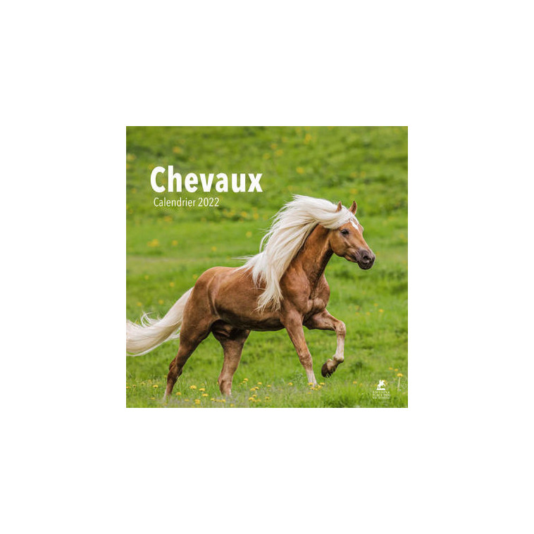 Chevaux - Calendrier 2022 -  Collectif - PLACE VICTOIRES