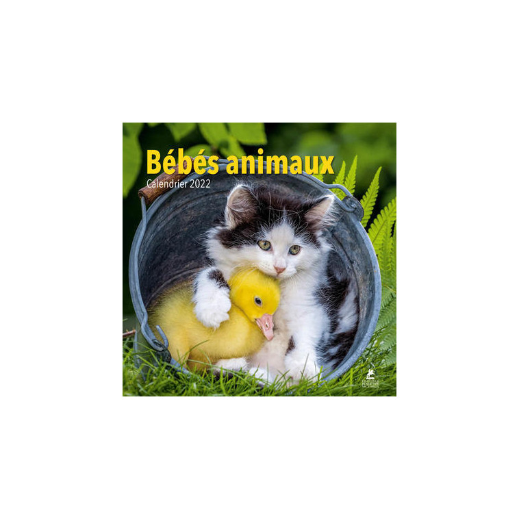 Bébés animaux - Calendrier 2022 -  Collectif - PLACE VICTOIRES