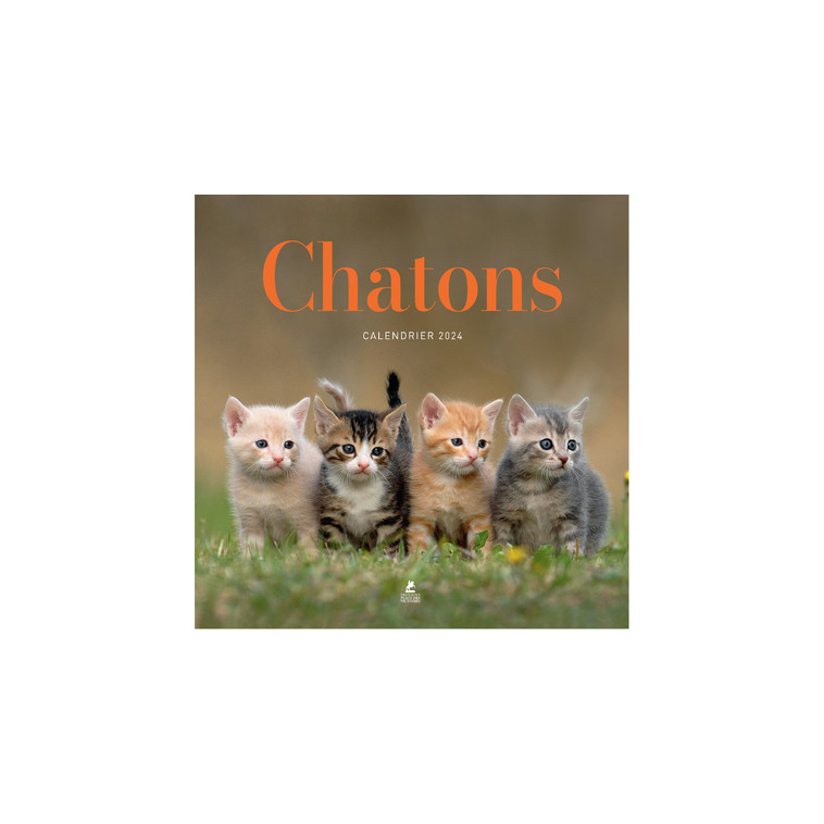 CALENDRIER CHATONS 2024 -  Collectif - PLACE VICTOIRES