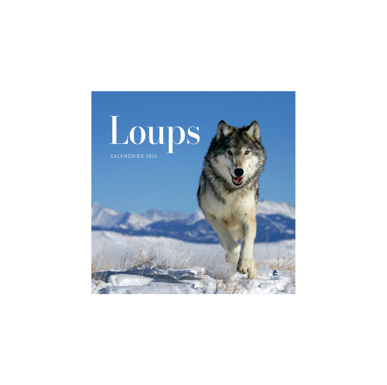 Calendrier Loups 2024 -  Collectif - PLACE VICTOIRES