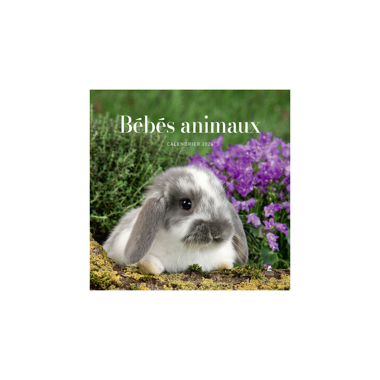 Calendrier bébés animaux 2024 -  Collectif - PLACE VICTOIRES