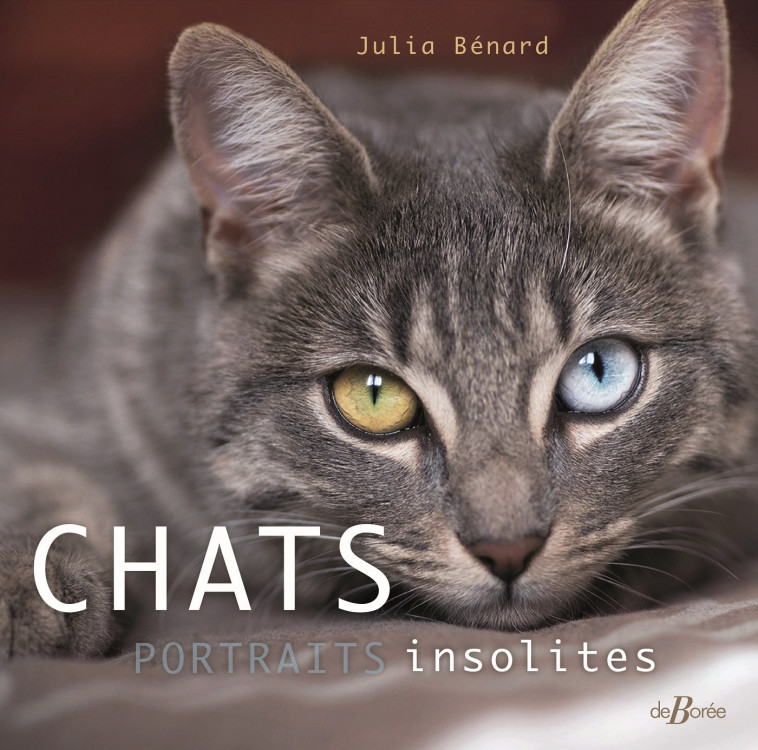 Chats, portraits insolites - Julia Bénard - DE BOREE