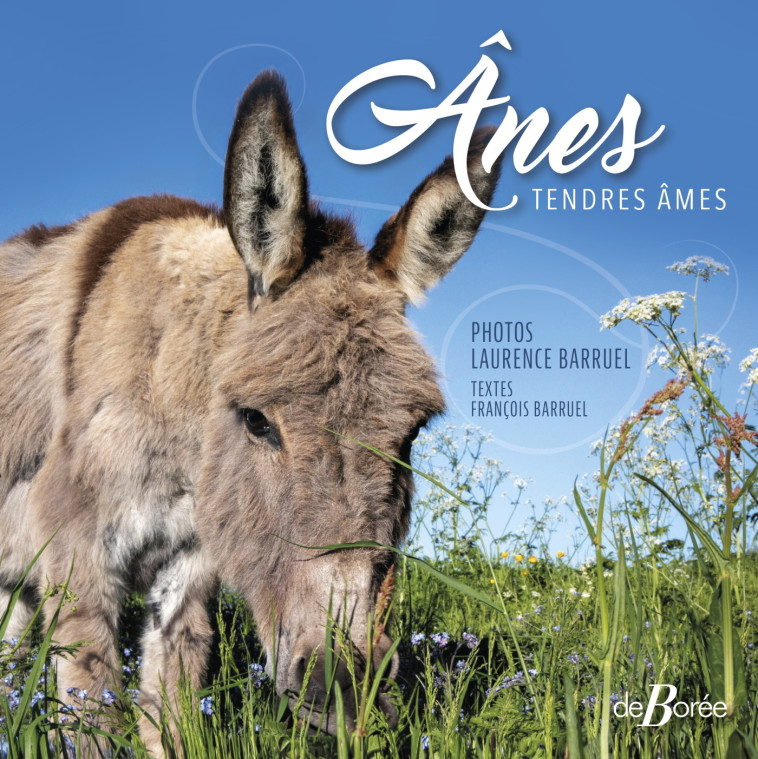 Ânes - Tendres âmes - Laurence Barruel - DE BOREE