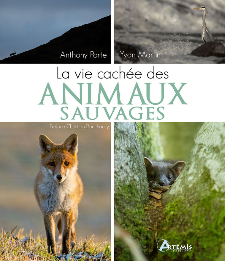 La vie cachée des animaux sauvages - Antony PORTE - ARTEMIS