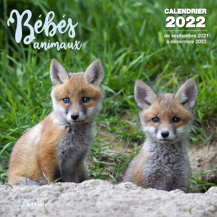 Calendrier Bébés animaux 2022 -  Collectif - ARTEMIS