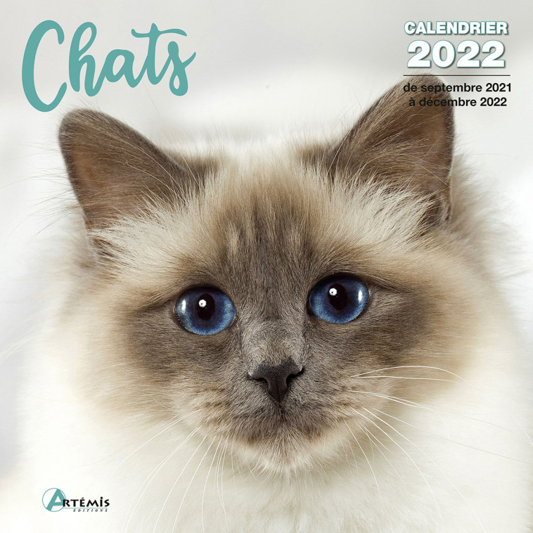 Calendrier Chats 2022 -  Collectif - ARTEMIS