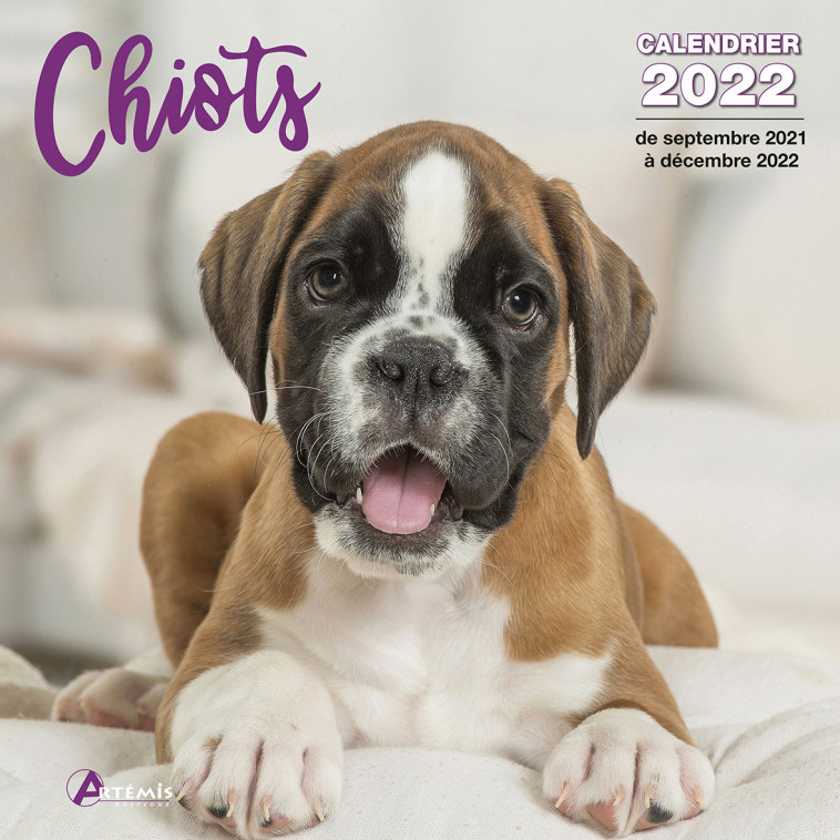 Calendrier Chiots 2022 -  Collectif - ARTEMIS