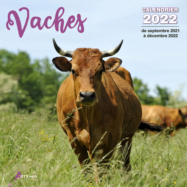 Calendrier Vaches 2022 -  Collectif - ARTEMIS