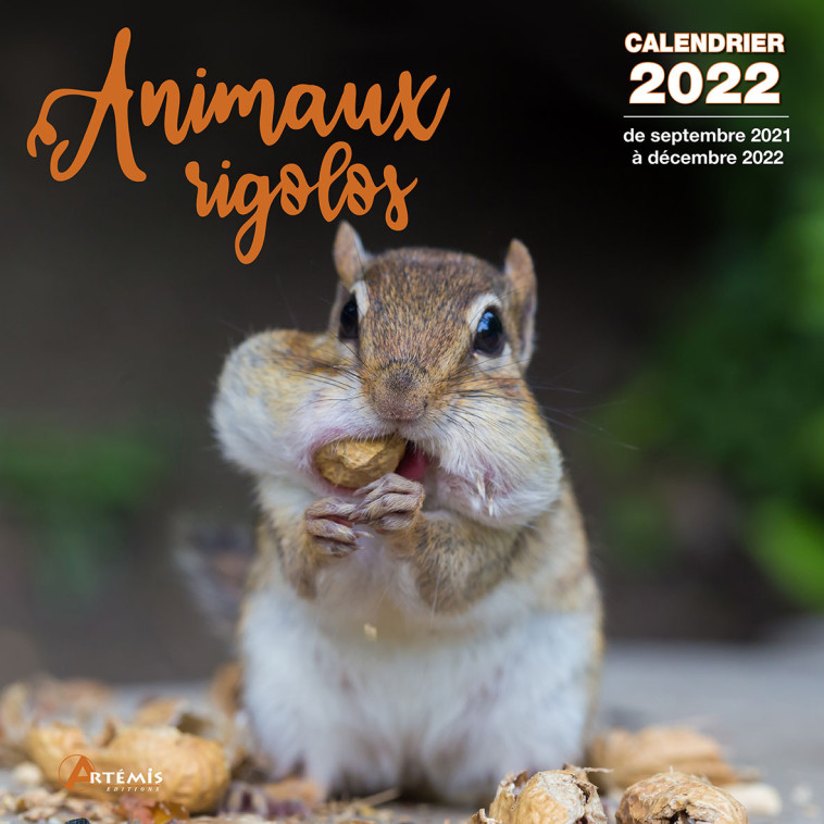 Calendrier Animaux rigolos 2022 -  Collectif - ARTEMIS