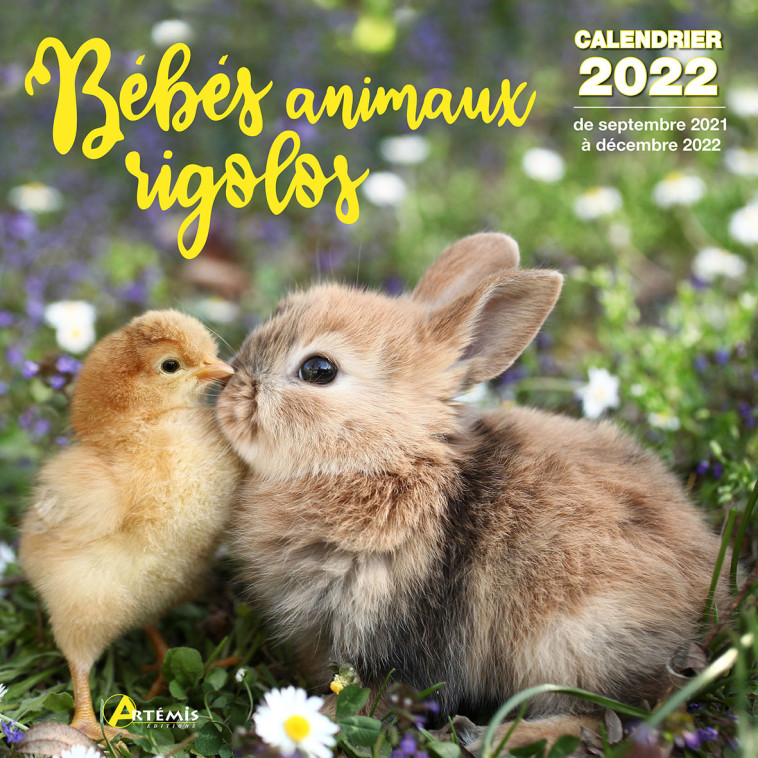 Calendrier Bébés animaux rigolos 2022 -  Collectif - ARTEMIS