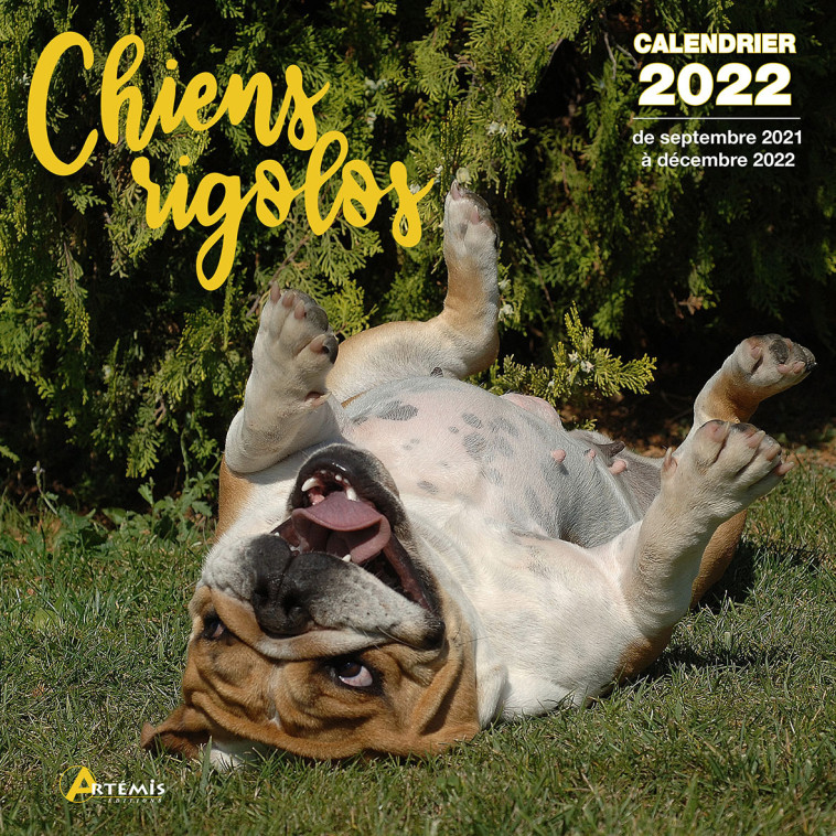 Calendrier Chiens rigolos 2022 -  Collectif - ARTEMIS