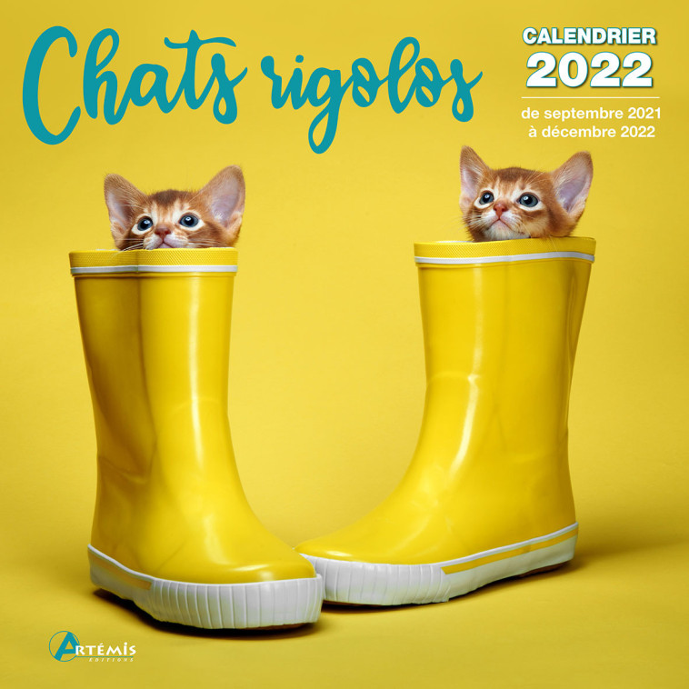 Calendrier Chats rigolos 2022 -  Collectif - ARTEMIS