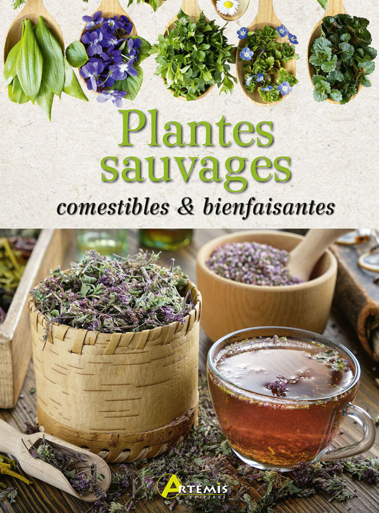 Plantes sauvages comestibles & bienfaisantes -  Collectif - ARTEMIS