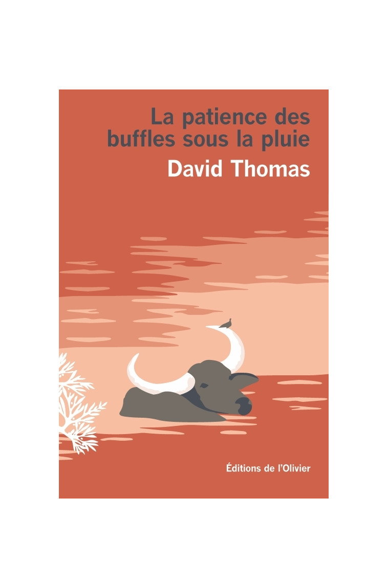 La Patience des buffles sous la pluie - David Thomas - OLIVIER