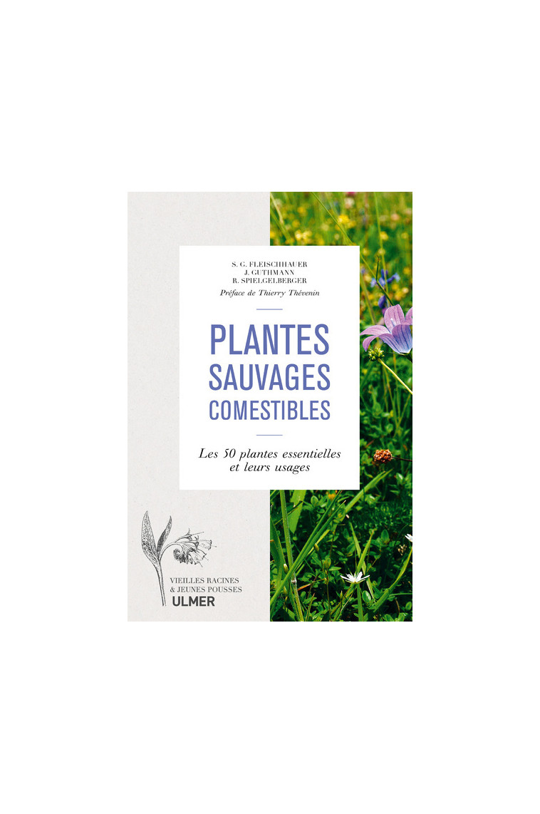 Plantes sauvages comestibles - Steffen Guido Fleischhauer - ULMER