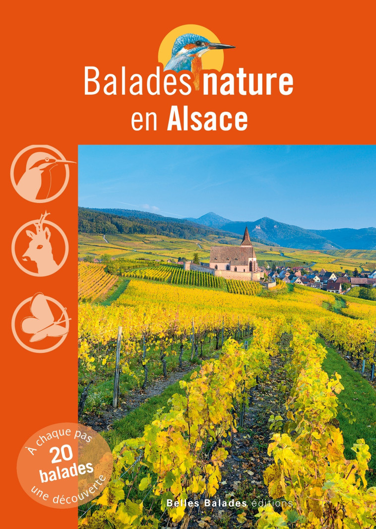 Balades nature en Alsace -  Collectif - BELLES BALADES