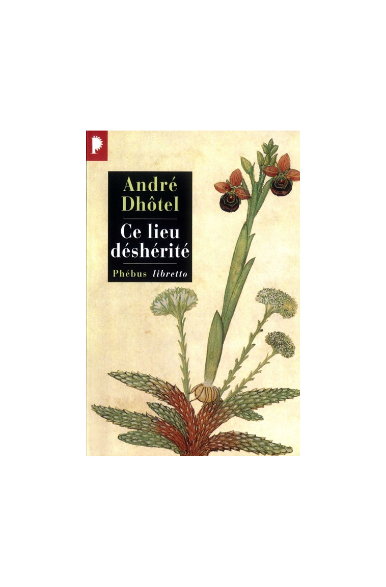 Ce lieu déshérité - André Dhôtel - LIBRETTO