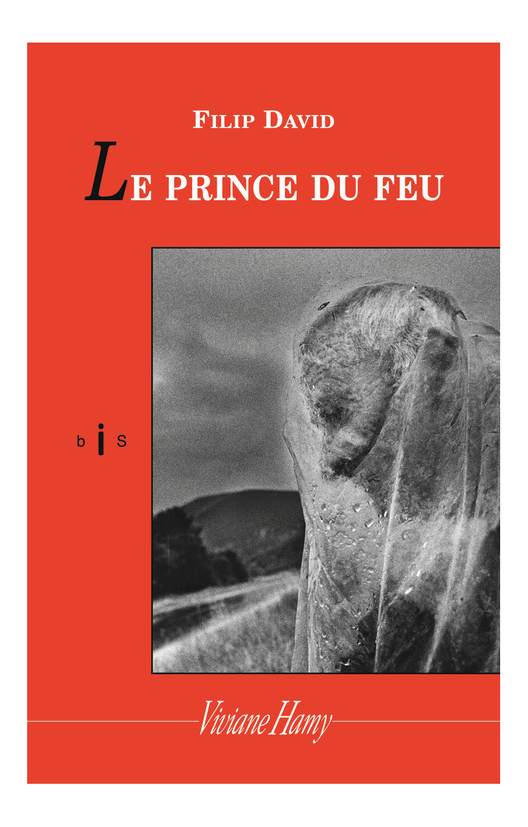 Le Prince du feu - Filip David - VIVIANE HAMY