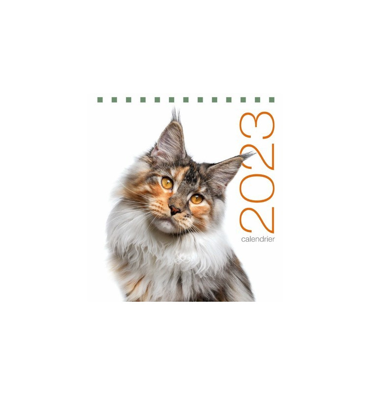 Calendrier de table 2023 Chats -  Collectif - WHITE STAR