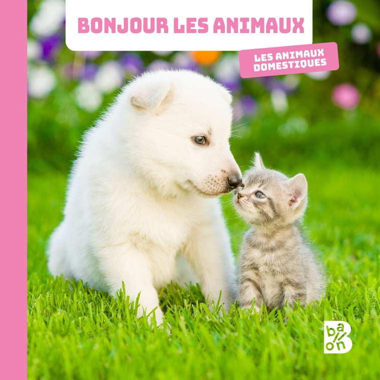 Les animaux domestiques - XXX - BALLON