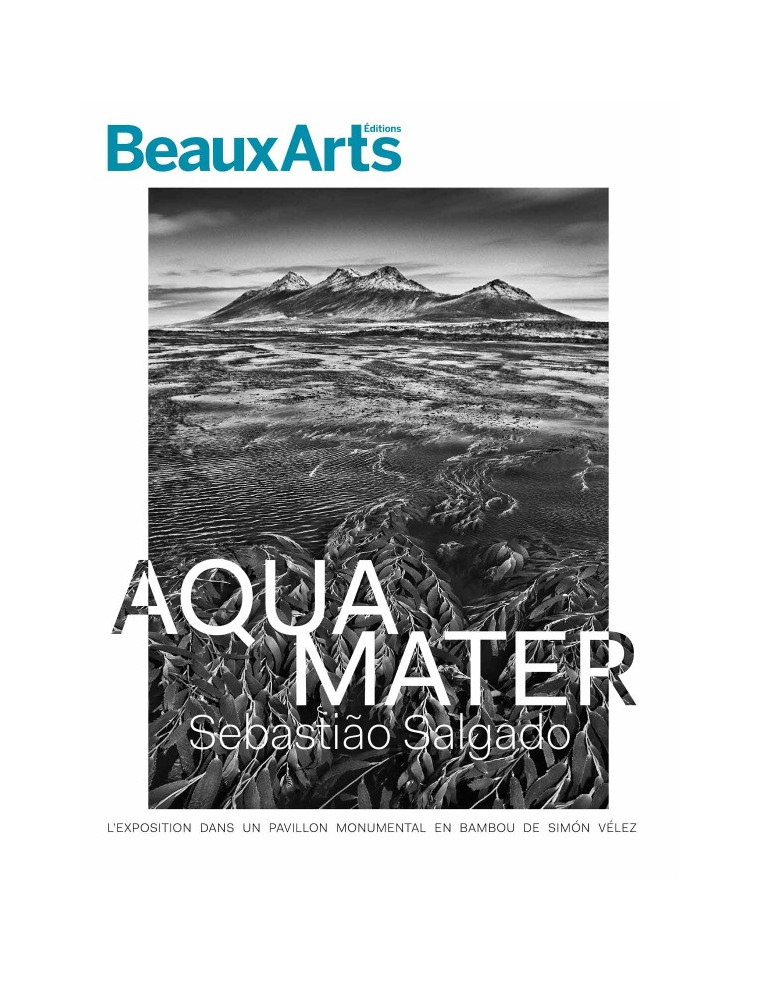 Aqua mater, 50 photographies sur l'eau -  Collectif - BEAUX ARTS ED