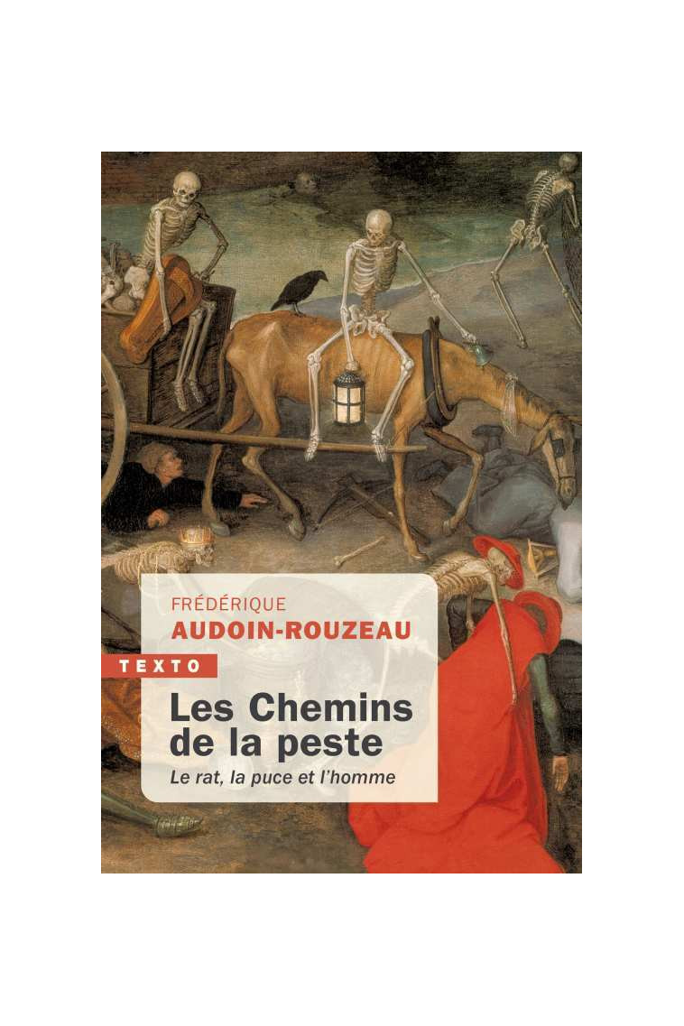 Les chemins de la peste -  AUDOIN-ROUZEAU F - TALLANDIER