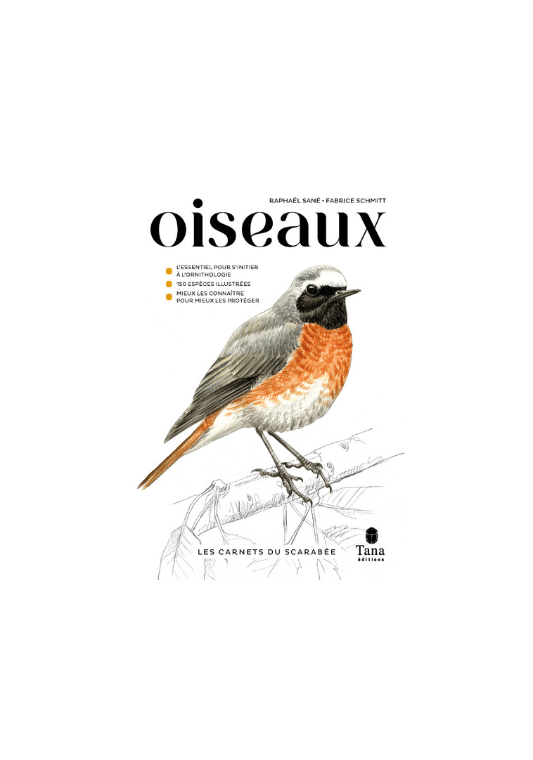 Les carnets du scarabée - Oiseaux - Raphaël Sané - TANA