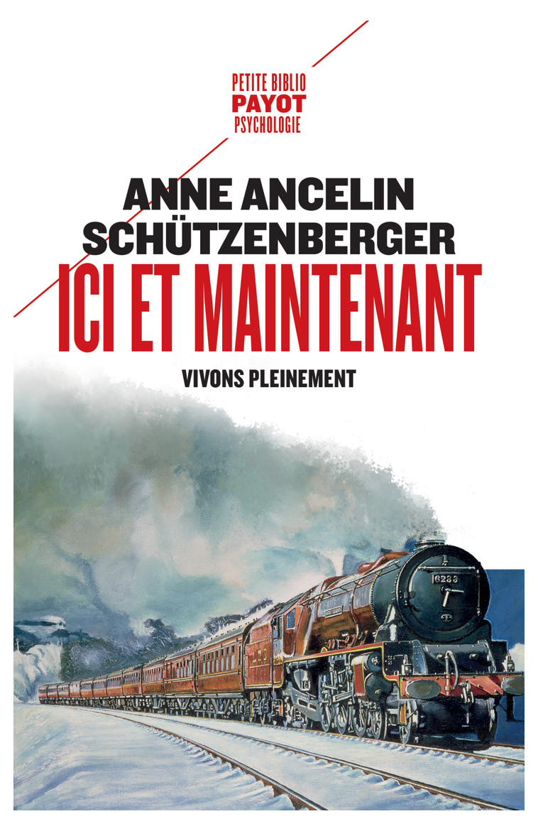 Ici et maintenant - Anne Ancelin schützenberger - PAYOT