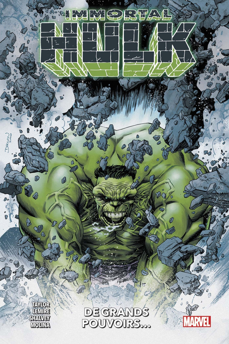 Immortal Hulk : À grands pouvoirs - Jeff Lemire - PANINI