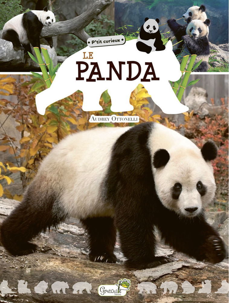 LE PANDA - Audrey Ottonelli - GRENOUILLE