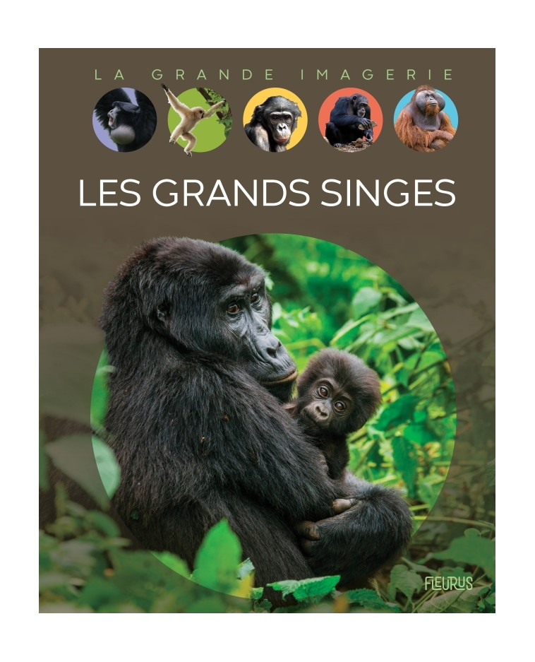 Les grands singes - Emmanuelle Grundmann - FLEURUS