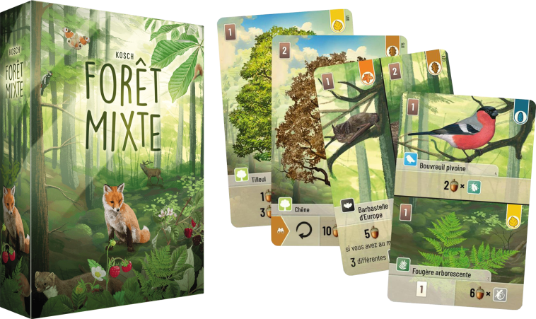 Forêt Mixte Contenu